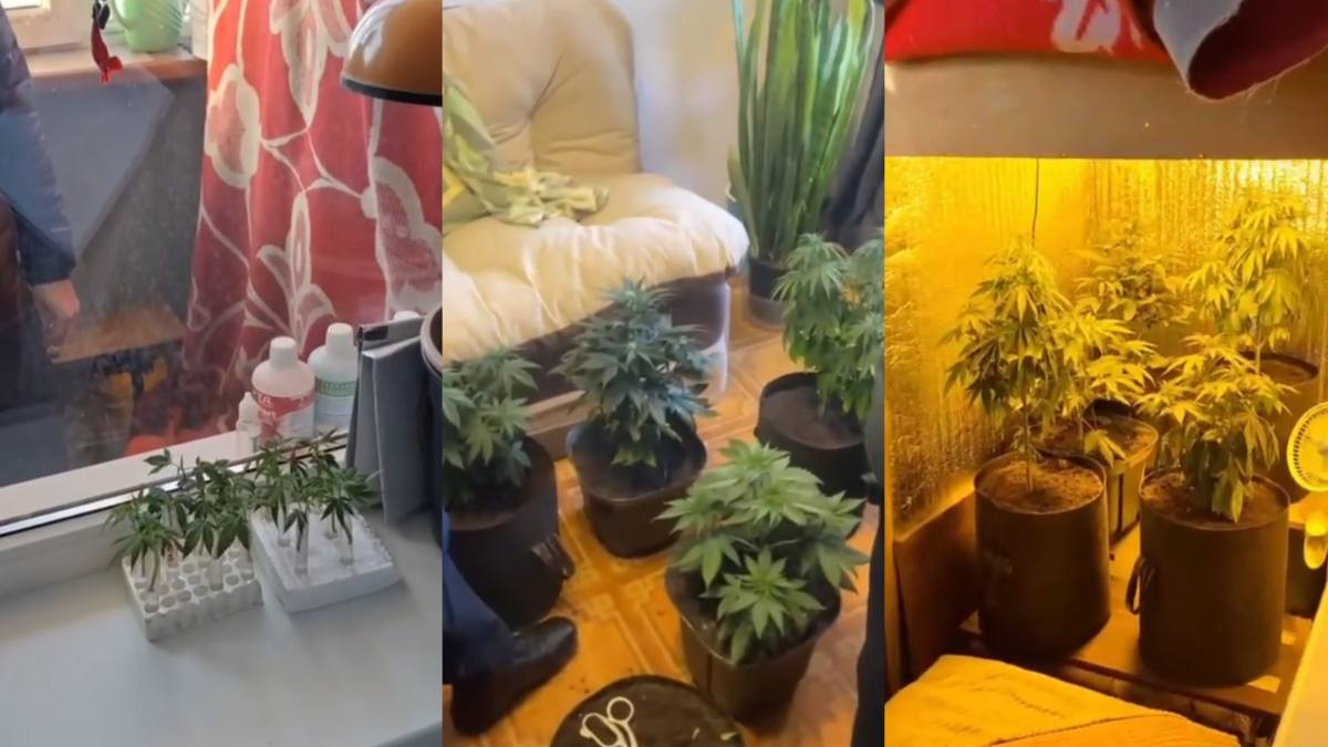 Ақтөбелік  қатерлі ісікті  қарасорамен емдемек болған
